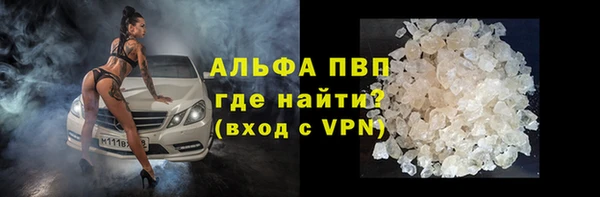 ПСИЛОЦИБИНОВЫЕ ГРИБЫ Кулебаки