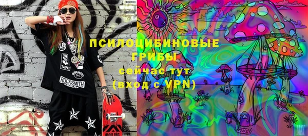 ПСИЛОЦИБИНОВЫЕ ГРИБЫ Кулебаки