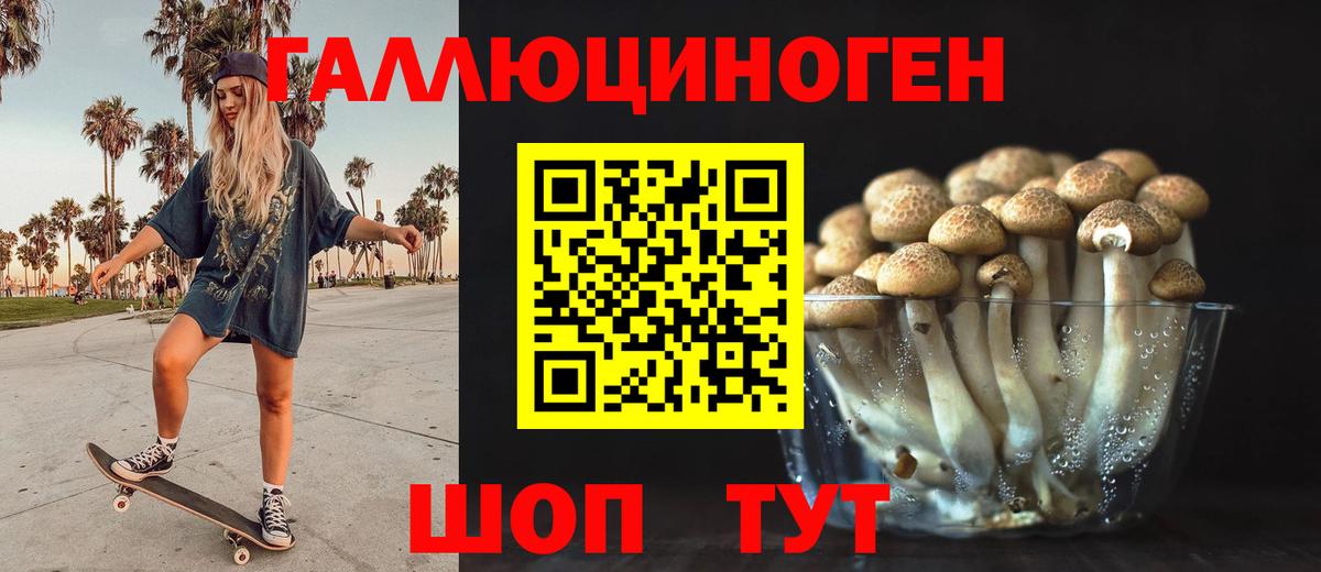 Псилоцибиновые грибы Cubensis  Галлюциногенные грибы Cubensis  Вход с VPN  Челябинск 