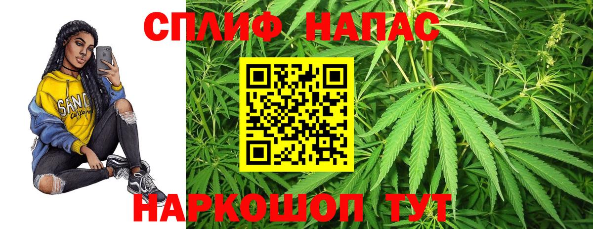 Конопля семена  Вход с VPN  Бошки Шишки SATIVA & INDICA  МАРИХУАНА планчик  Челябинск  Шишки марихуана ГИДРОПОН 
